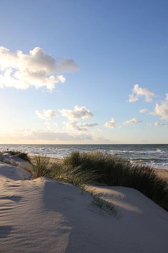 Dunes de bonne sur Ostsee Bilder
