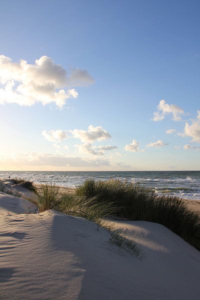 Dunes de bonne par Ostsee Bilder