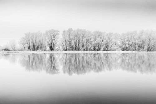 Winter landschap in zwart-wit met meer en berijpte bomen van Chris Stenger