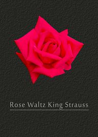 Rose Waltz King Strauss