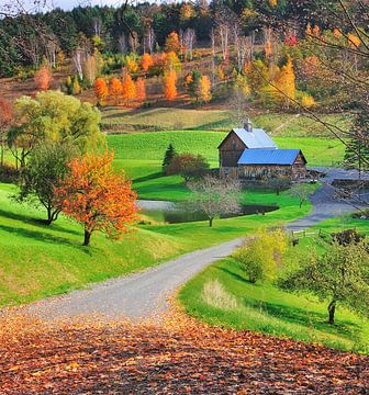 Sleepy Hollow Herbst - Pomfret Vermont von Slukusluku batok