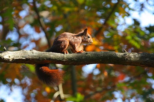 Zie jij mij, zie ik jou!