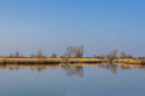 Zo glad als een spiegel