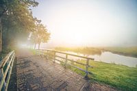 City Moat In The Mist