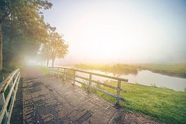 City Moat In The Mist