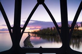 See-through by Alvin Aarnoutse