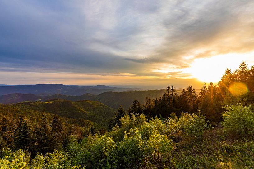 Sonnenuntergang am Schliffkopf im Schwarzwald von Werner Dieterich