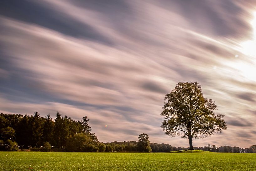 Perfect day by Sybolt Engelsma