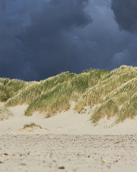 Storm op de waddeneilanden von Annette van den Berg