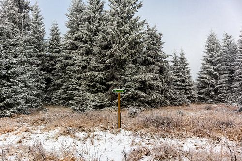 Prachtig winterlandschap op de hoogten van het Thüringer Wald