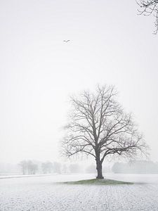 Paysage hivernal avec héron