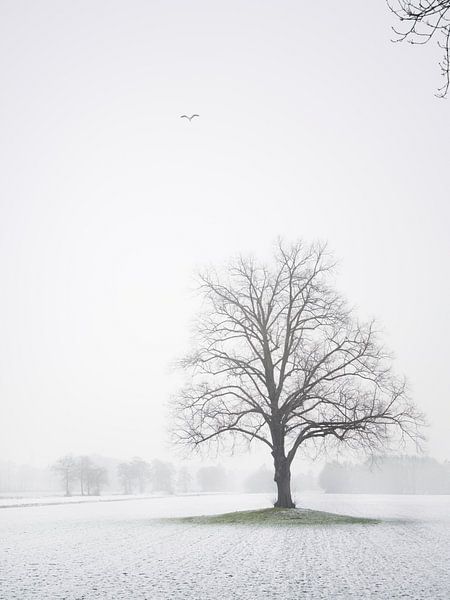 Winter landscape with heron by Pascal Raymond Dorland