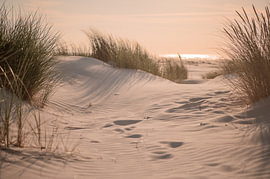 Sonnenuntergang in den Dünen von Terschelling von Wendy de Jong