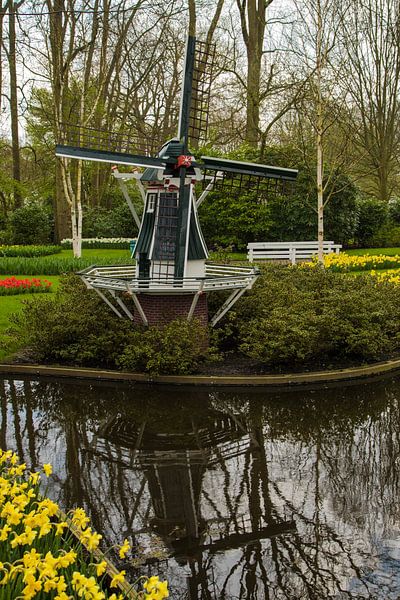 Keukenhof by Wendy Bierings