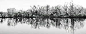 Panorama reflet d'arbres sur Dieter Walther