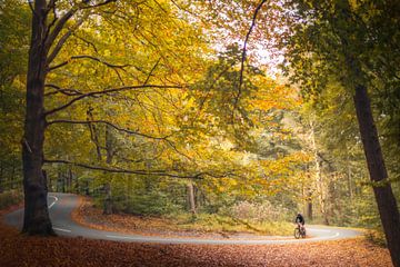 Lonely cyclist on the Posbank | Rheden | Netherlands | Autumn by Laura Dijkslag