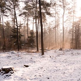 The Winter Veluwe by Emma Buisman