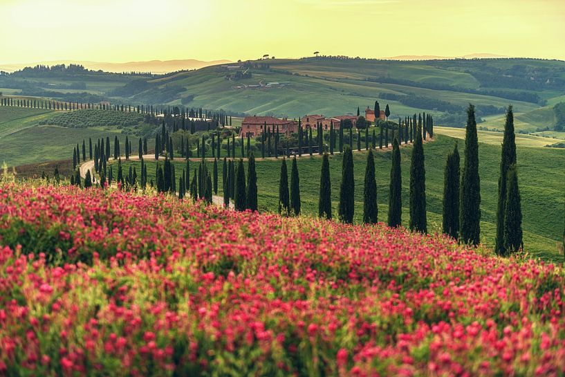 Italië Toscane landschap bij zonsondergang van Jean Claude Castor