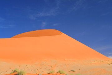 Woestijn landschap met rode duinen Namibië van Bobsphotography
