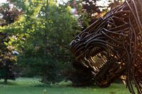 Spider vs lion