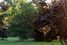 Spider vs lion by Martijn Kolkman