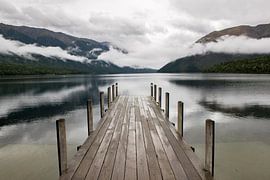 x van Tom in 't Veld