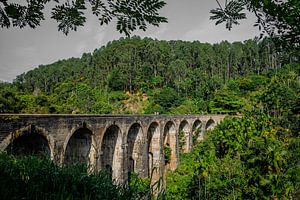 Neun-Bogen-Brücke. Diese Zugfahrt in Sri Lanka ist eine der schönsten der Welt.
