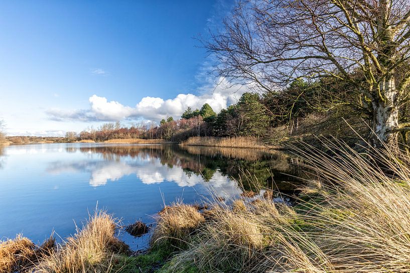 Amsterdam Wasserversorgung Dünen von Cor de Bruijn Photography