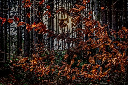 Nature et paysage dans l'Erzgebirge