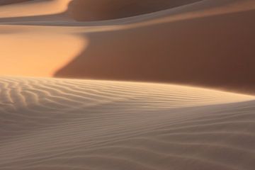 désert du Sahara sur Niels Rijsenbrij
