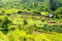 Indonesia