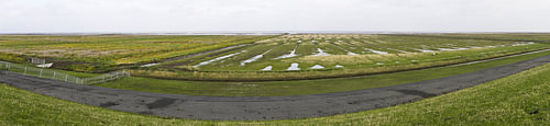 Uitzicht noord