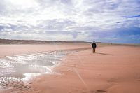 Op het strand van Texel