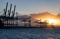 Container terminal 3 by Nuance Beeld thumbnail