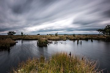 Dwingelderveld Nationalpark von Eddy Westdijk