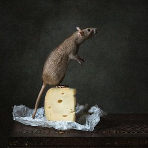 Rat met kaas van Carolien van Schie