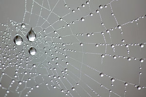 netzwerk