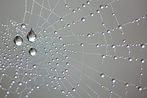 netzwerk