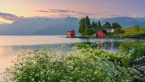 Sonnenaufgang in Omaholmen, Hardangerfjord, Vestland, Norwegen