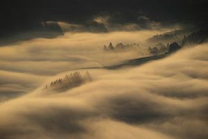 Pieniny Berge