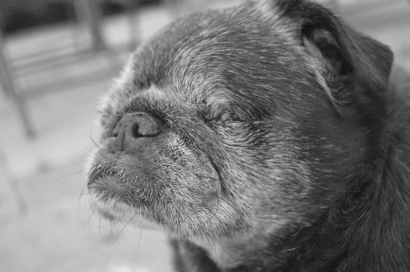 Wat mist? par Marcia van de Bovenkamp