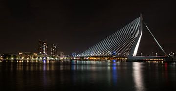 De Ermasmusbrug van Salmon Creations