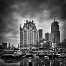 alten Hafen und das Weiße Haus (monochrom, quadratisch) von Prachtig Rotterdam Miniaturansicht