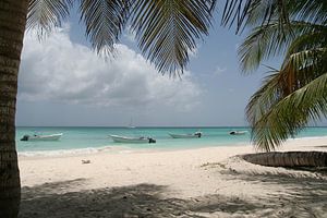 Tropisch strand van Bart van Dinten