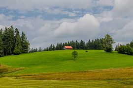 Wunderschönes Wildrosenmoos in Bayern von Oliver Hlavaty