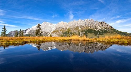 Reflet du Haut-Koenigsbourg