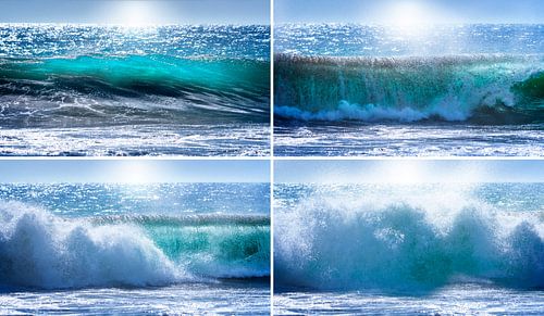 0189 The short, intense life of a wave