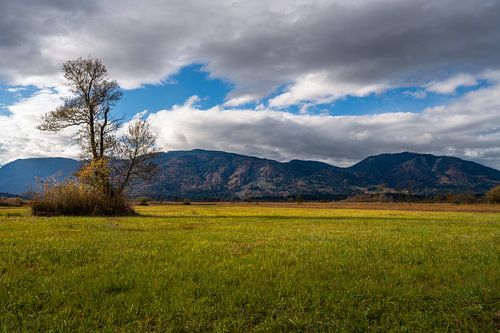 Paysage dans le Murnauer Moos avec vue sur les Alpes