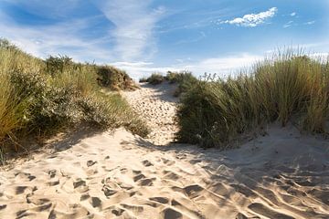 Het pad door de duinen naar het strand van Lisette Rijkers