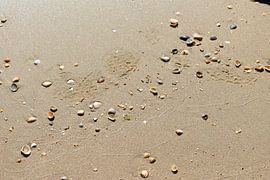 a walk on the beach by Fay Kallendorf